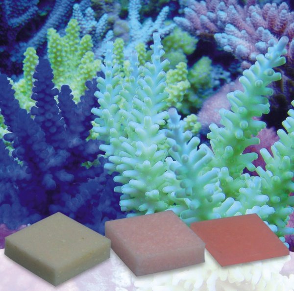 Korallenzucht - Automatic Elements Eisen Konzentrat   5 Stck.