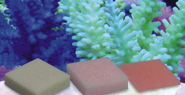 Korallenzucht - Automatic Elements Pohl`s K-Balance  10 Stck.