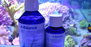 Korallenzucht - Pohl’s A-Balance 250ml