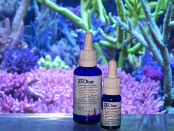 Korallenzucht - ZEObak  10 ml