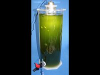 Knepo Planktonreaktor 6L PLL-L-150-400 ür Phytoplankton