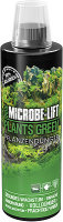 KARKA Microbe Lift - Plants Green (236ml.)
