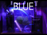 Tunze LED H160 Tuna Flora (KSH160TF)