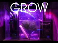 Tunze LED H160 Tuna Flora (KSH160TF)