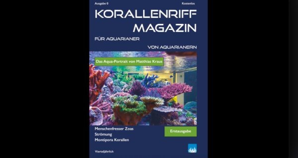 Korallenriff Magazin