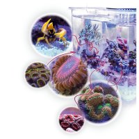 Aqua Medic Armatus XS  All-in-One Micro Aquarium mit...