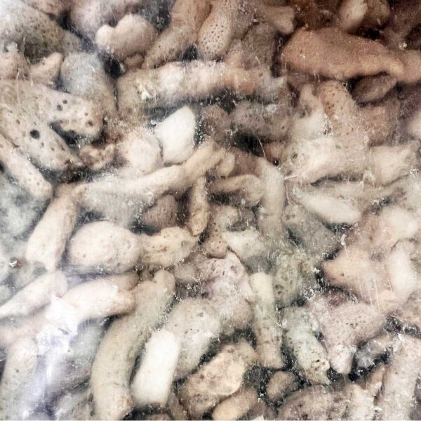 Korallenbruch 30mm 20kg Sack