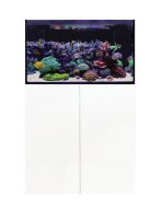 D-D Aqua-Pro Reef Wood 900 White Gloss