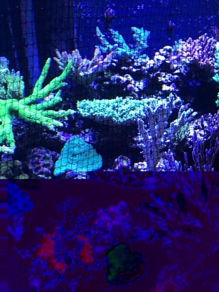 D-D JumpGuard Ersatznetz 200x110cm schwarz