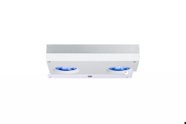 AI Hydra HD 32 LED weiß