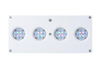 AI Hydra HD 64 LED weiß