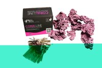 D-D MARCO CORALLINE AQUASCAPE  MÖRTEL KIT