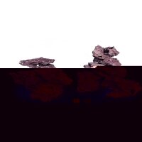 D-D MARCO CORALLINE NANO SHELF ROCK