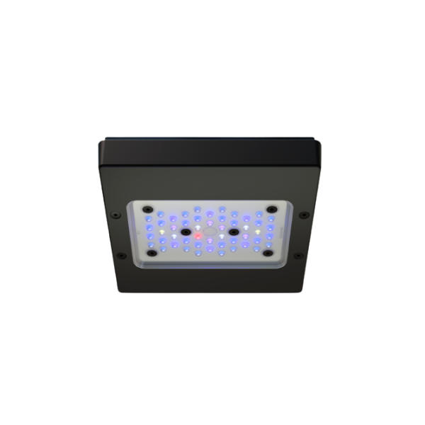 Ecotech Marine Radion XR15 G6 Blue