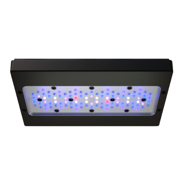 Ecotech Marine Radion XR30 G6 Blue