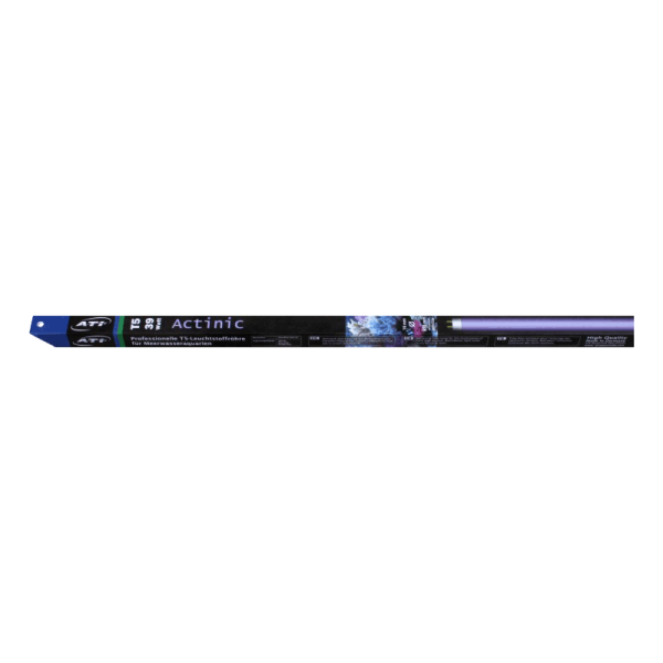 Actinic 80 Watt