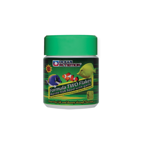 Ocean Nutrition Formula 2 Flakes 156 g