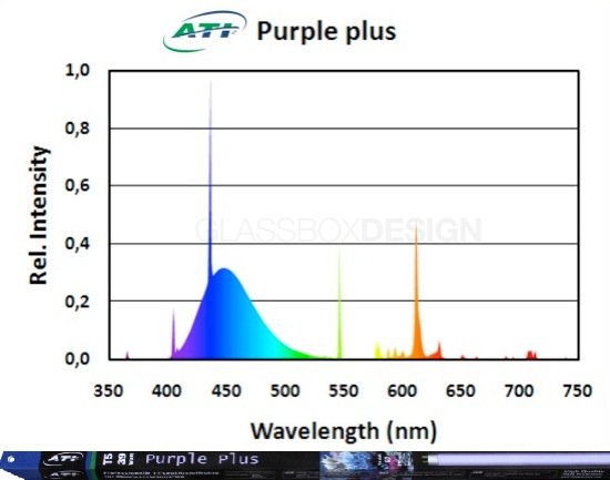 ATI Purple Plus 24 Watt  Leuchtstoffröhre T5