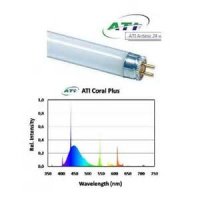 ATI Coral Plus 24 Watt Leuchtstoffr&ouml;hre T5